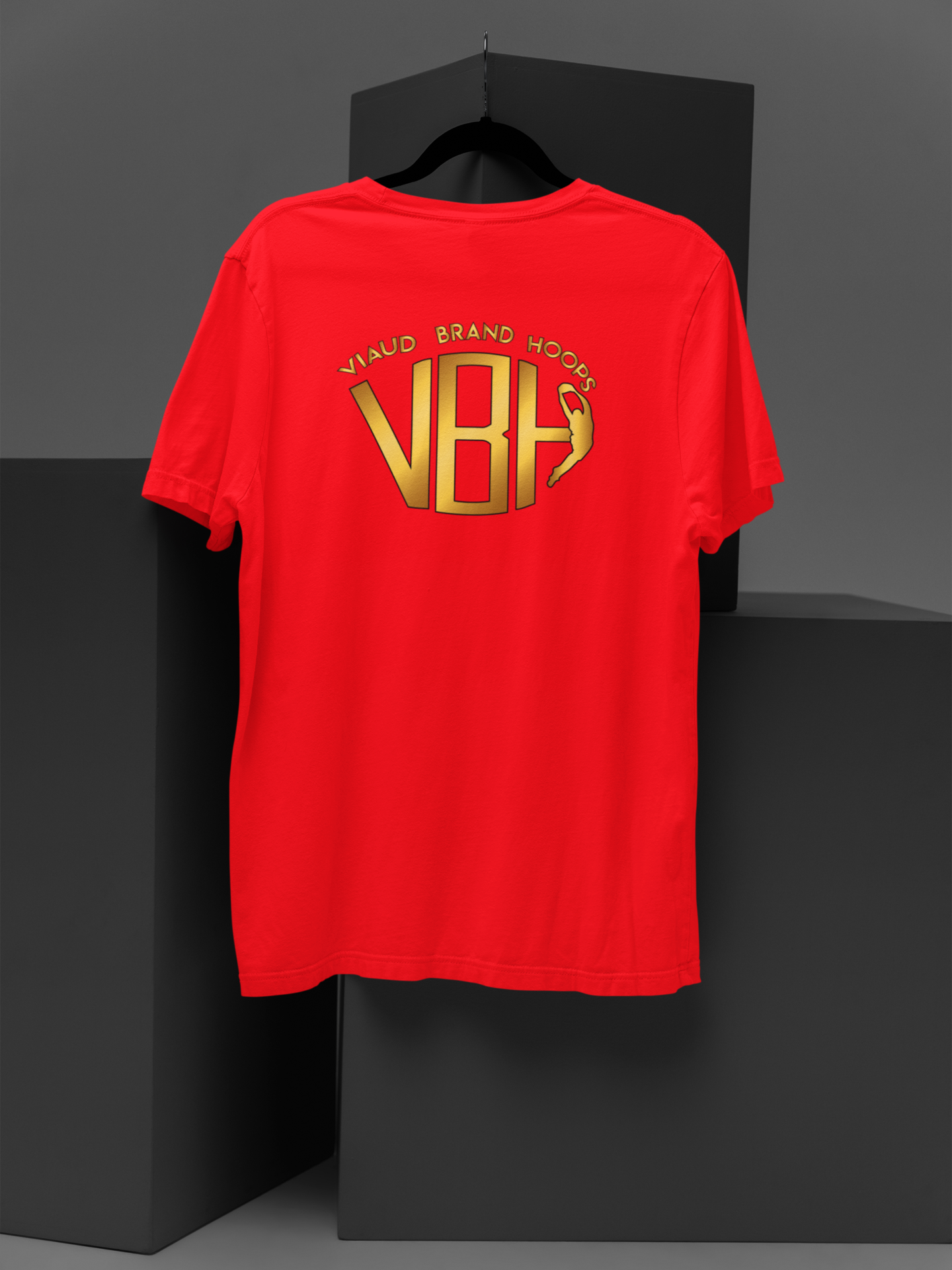 Adult T-Shirt - (Viaud Brand Hoops)